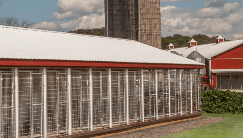 gallery image animal housing 4